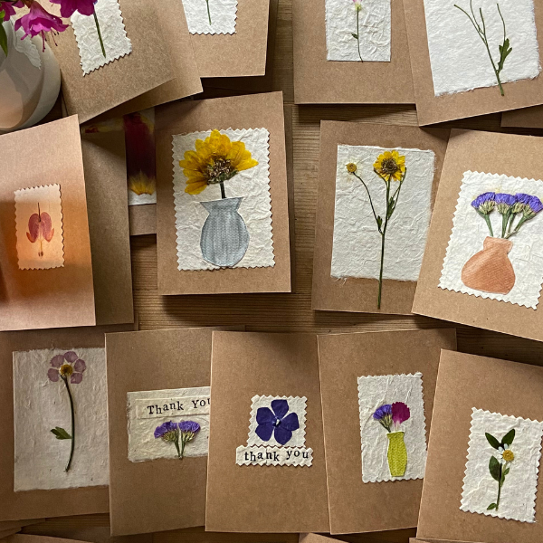 The Pressed Flower Collection