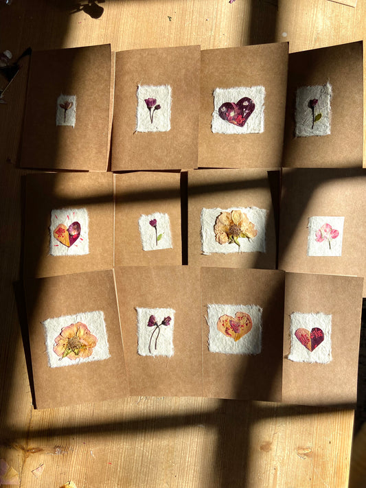 Handmade Pressed Flower Cards (Valentine's Day Edition)