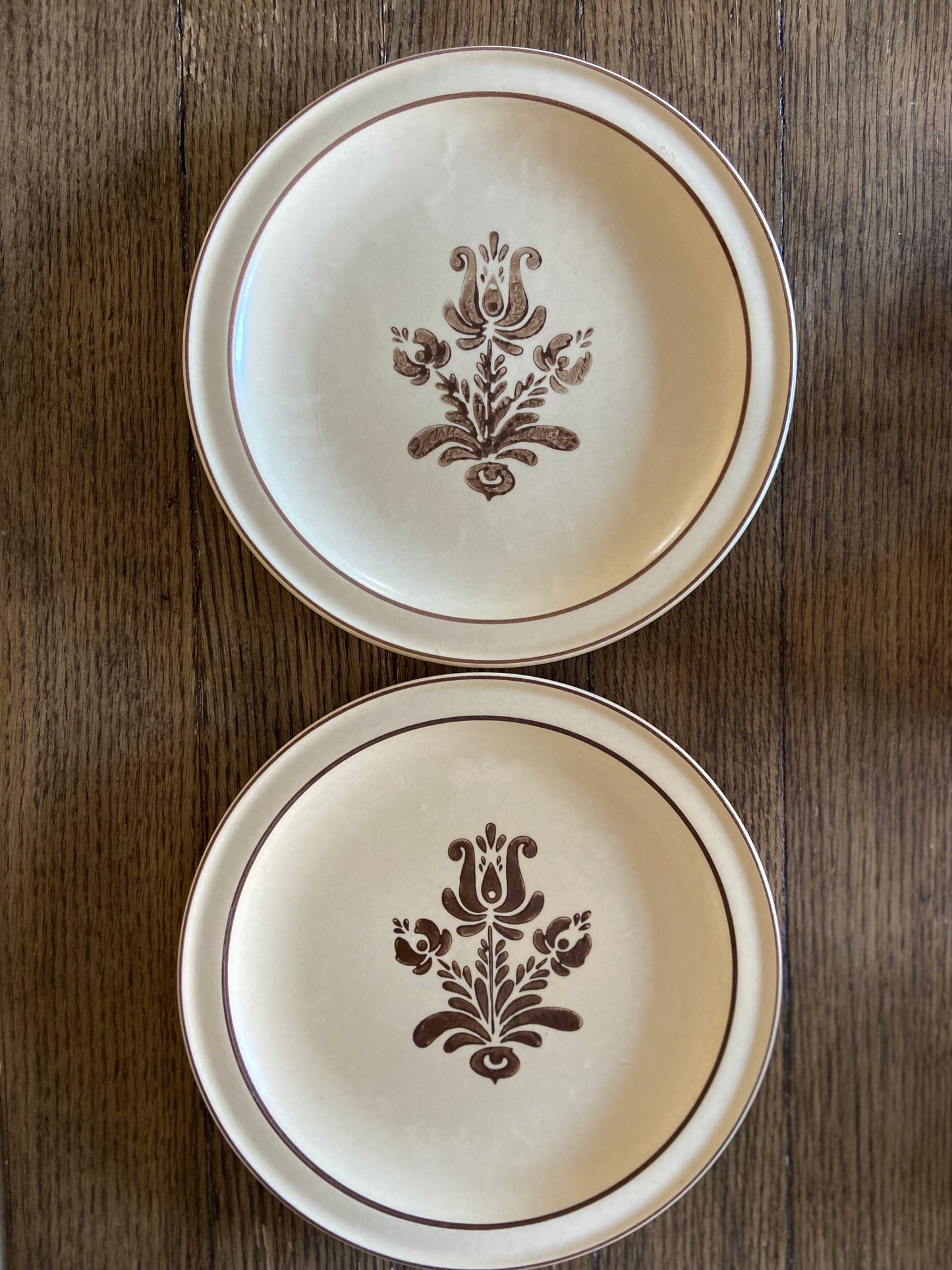 Pfaltzgraff Dinner Plates